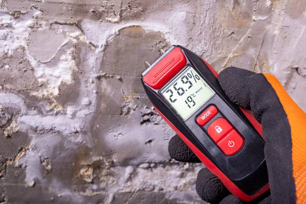 Best Mold Damage Repair  in Alamogordo, NM
